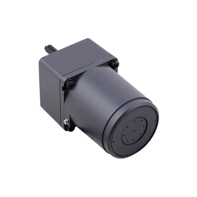INDUCTION MOTORS 70mm 15W,Caida,INDUCTION MOTORS 70mm 15W