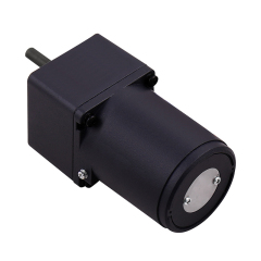 6W gear motor - 60mm reversible drive,Caida,6W gear motor - 60mm reversible drive