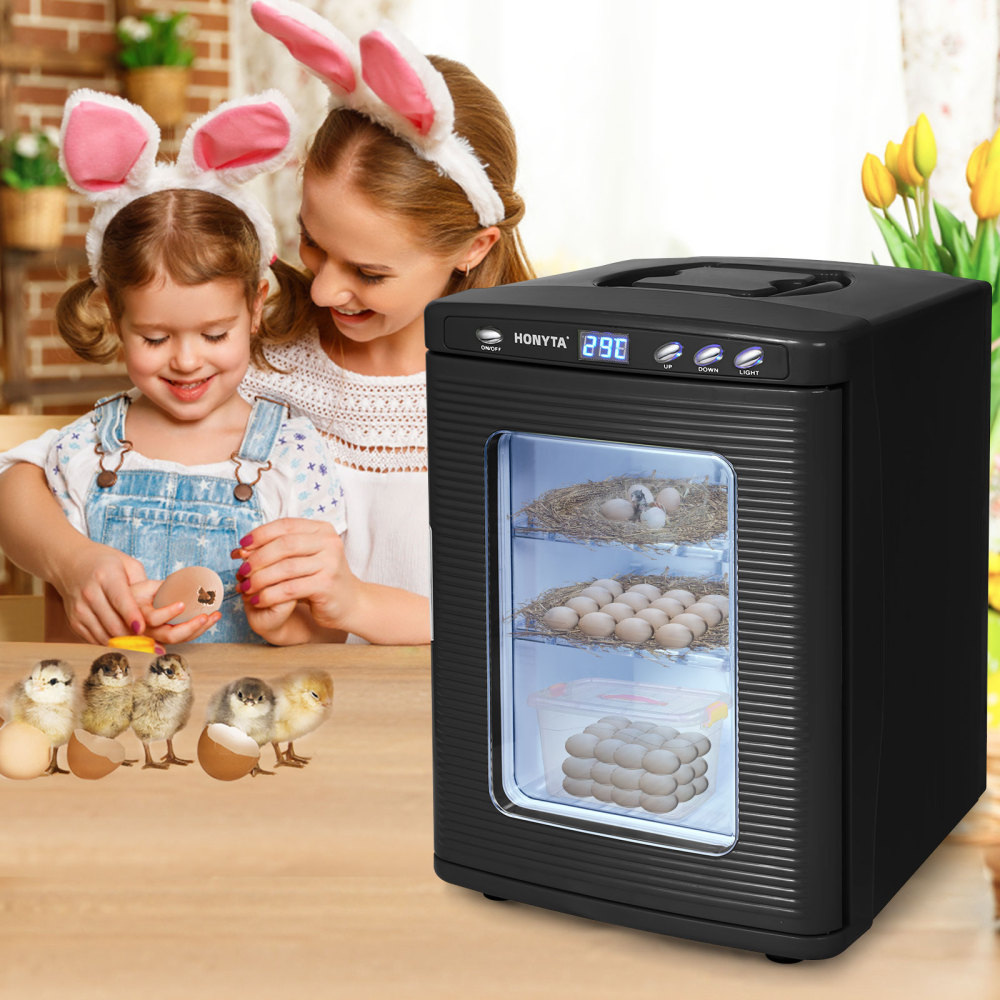 HONYTA Incubators for Hatching Eggs, 25L Portable Reptile Scientific Lab Incubator with 5°C-60°C, 12V/110V Heating and Cooling for Small Reptiles (Black)