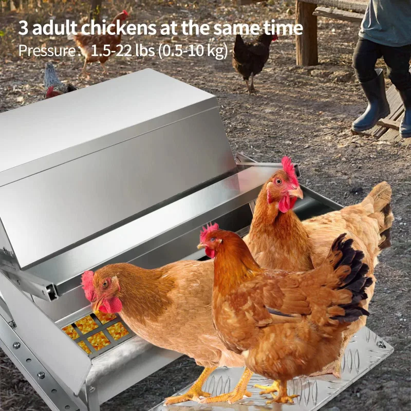HONYTA  Automatic Chicken Feeder 25 lb Galvanized Steel Poultry Feeder, Up to 12 Chickens 10 Days with Weatherproof Lid, for Chickens, Ducks, Fowl