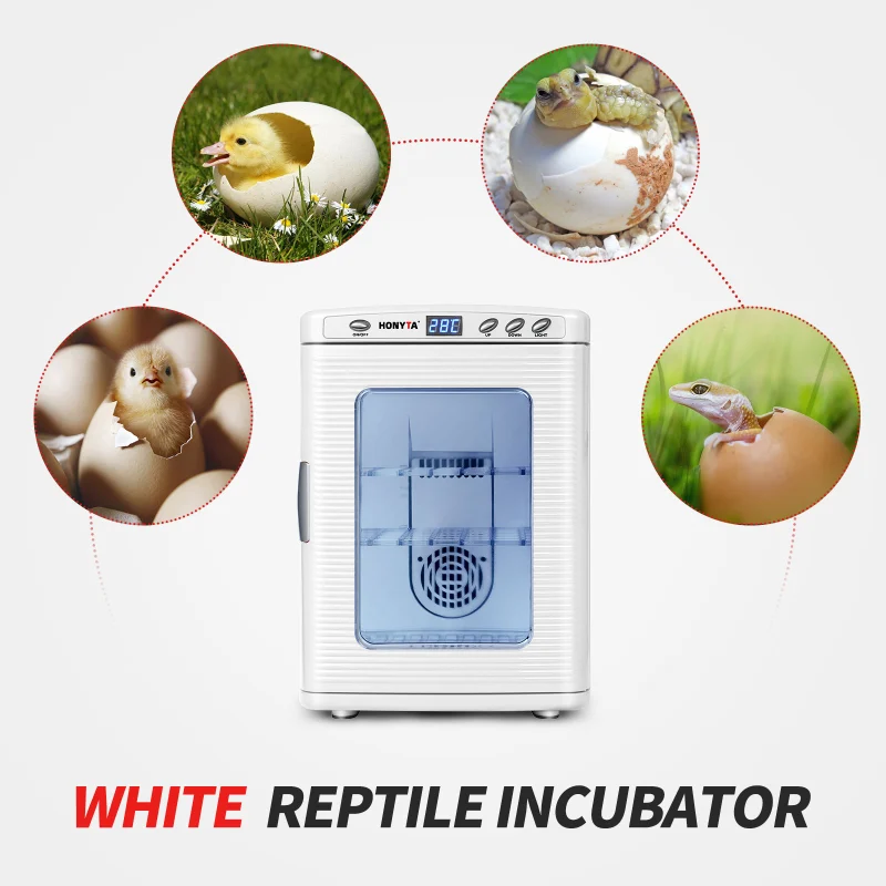 HONYTA (White)  Incubators for Hatching Eggs, 25L Portable Reptile Scientific Lab Incubator with 5°C-60°C, 12V/110V Heating and Cooling for Small Reptiles