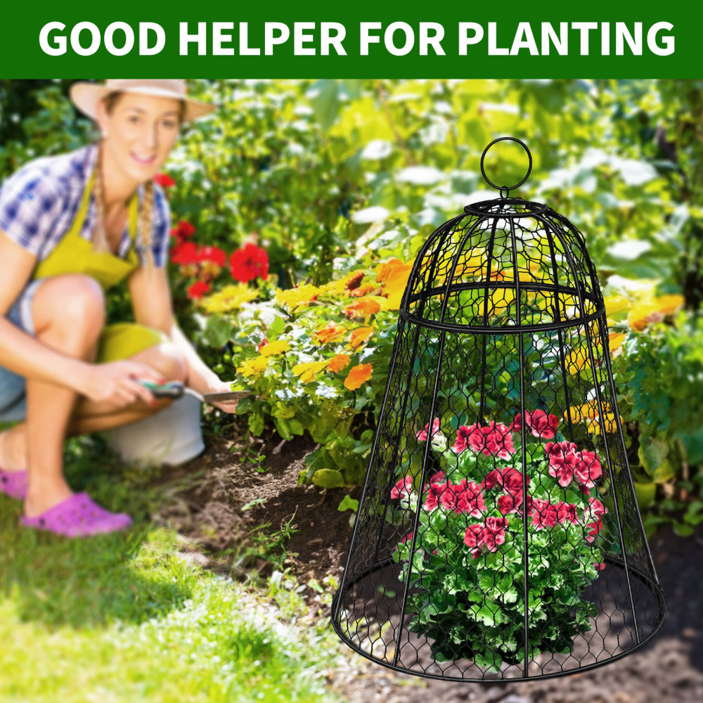 5 Pack Plant Protection Cage with Detachable Top, Metal Wire Mesh Plants, Anti Rust Fine Mesh Plant Cages for Outdoor Vegetable Gardens, Plant Protection Cages to Keep Animals Out