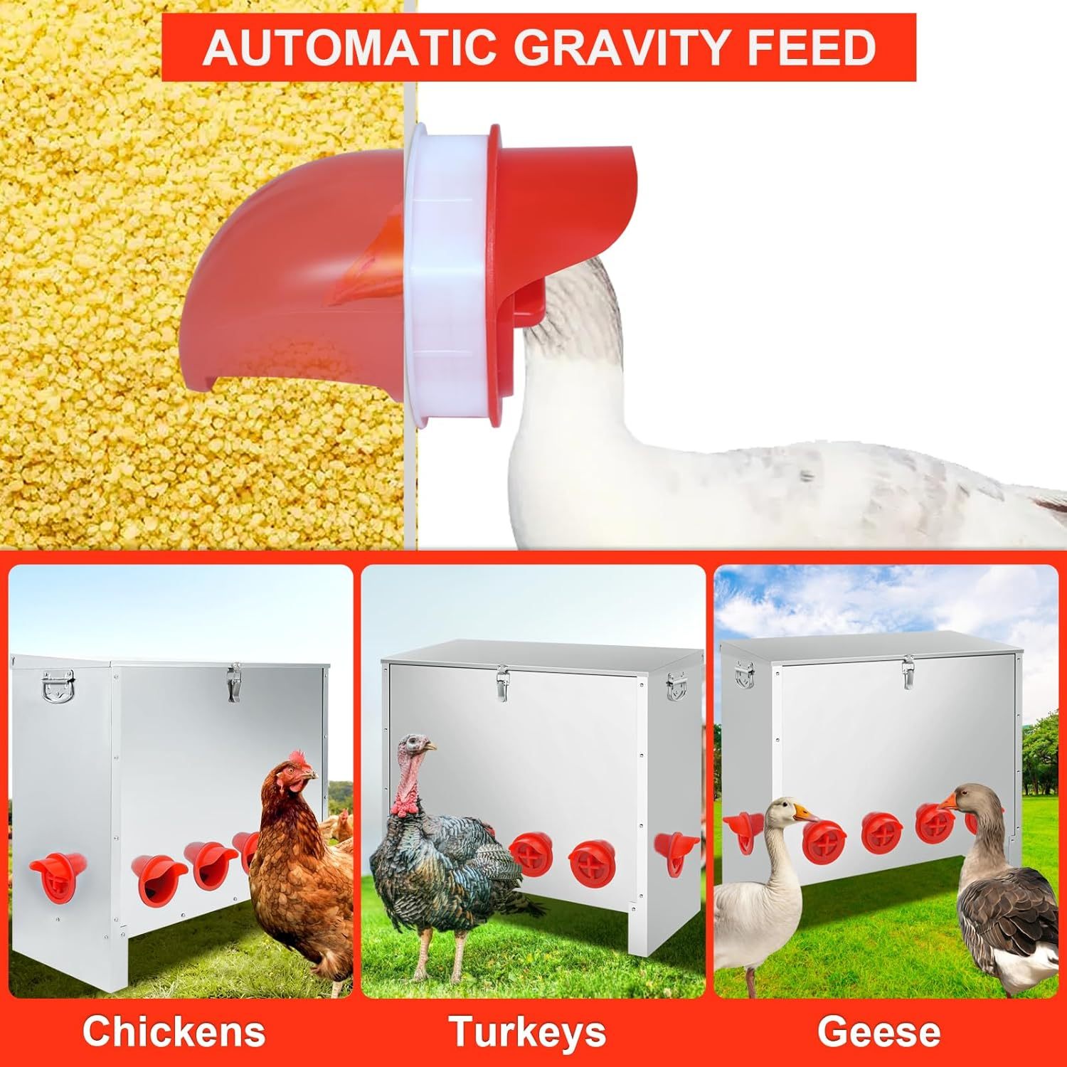 HONYTA 85lbs Automatic Chicken Feeder Large Capacity, 6-10Port Galvanized Metal Poultry Feeder for Chickens, Geese, Ducks, Turkeys, Quails(FREE SHIPPING))
