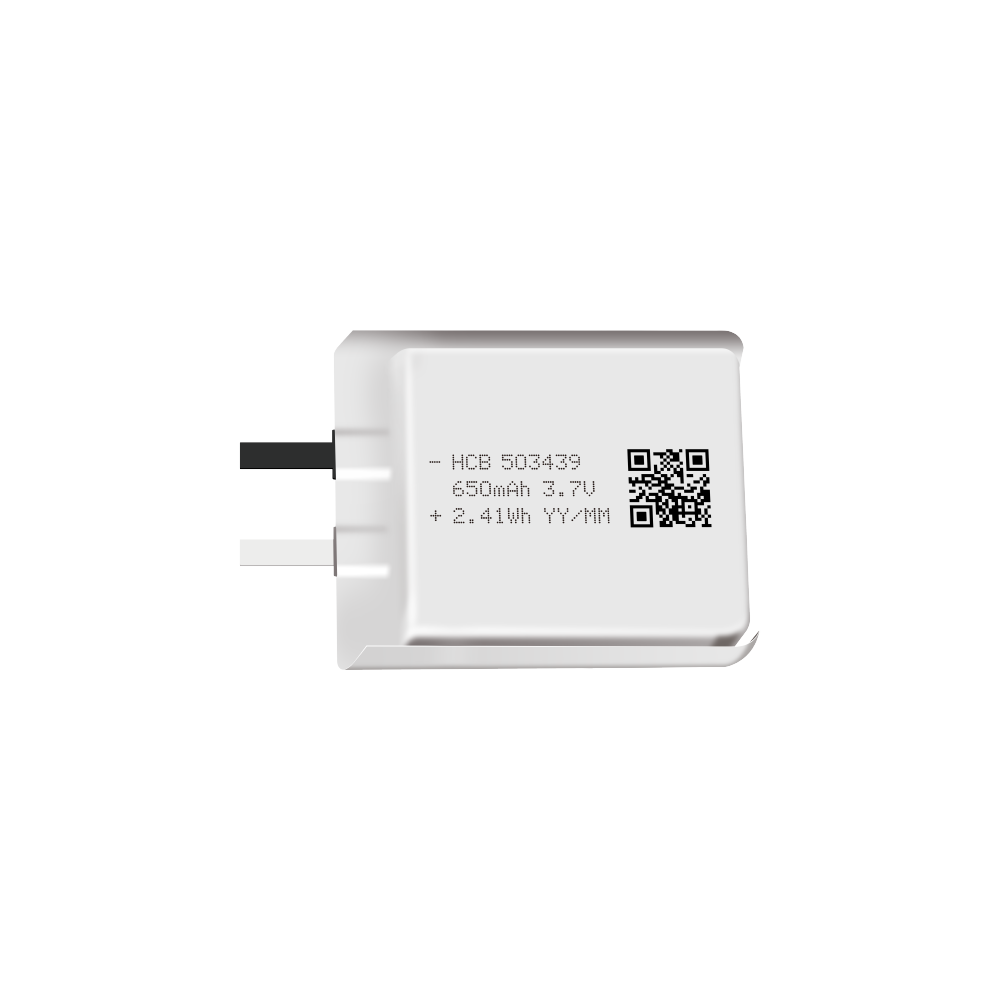 HCB Li-Polymer Battery