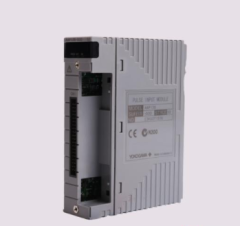 AAP135-S00 Yokogawa Pulse Input Module