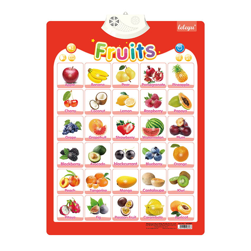 LELEYU OEM Style Feature Talking Poster Music Toys Other Educational Toys to Learn English