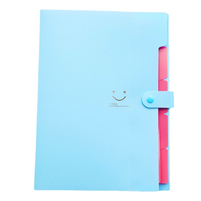 2023 New Product Expanding File Bag 8 Pockets Decorative Expanding Accordion Folder