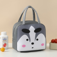 Gray Raccoon