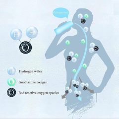 Factory Filter Water Bottle Hydrogen Alkaline Hydrogen Water Bottle Hydrogen Water Generator With Glass Bottle with Custom logo
