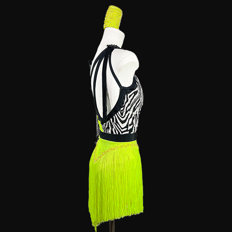 Syl Latin dress with , fringe &  AB rhinestone
