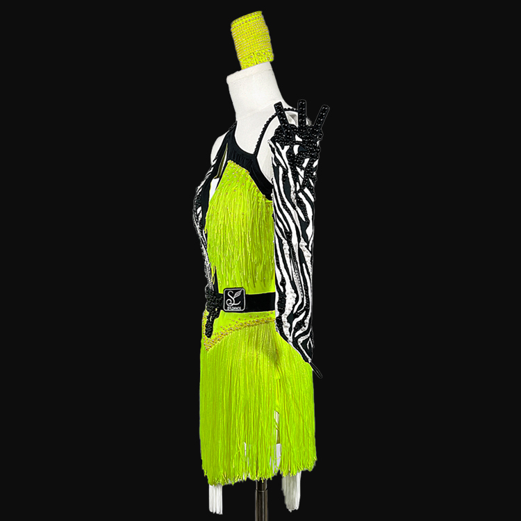 Syl Latin dress with , fringe &  AB rhinestone