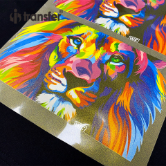 30cm*100m Glitter DTF PET Film
