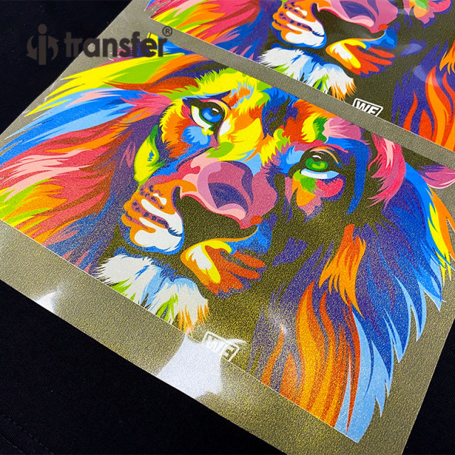 30cm*100m Glitter DTF PET Film