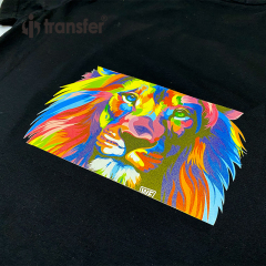 60cm*100m Glitter DTF PET Film