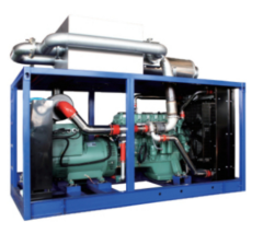 Biogas gas generator with pretreatment gas equipment