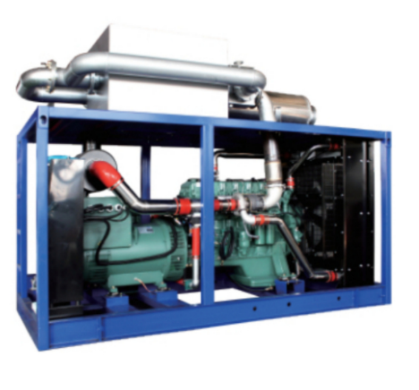 Biogas gas generator with pretreatment gas equipment