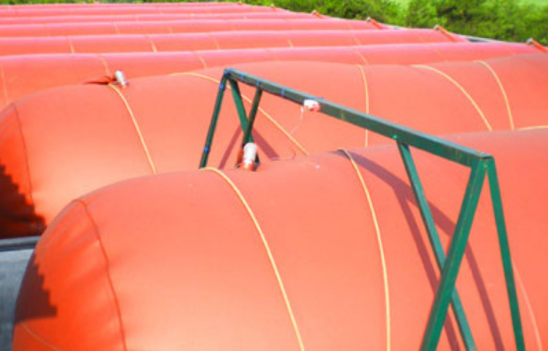 gas storage bag