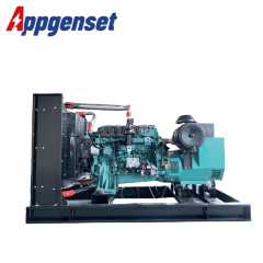 natural gas generator