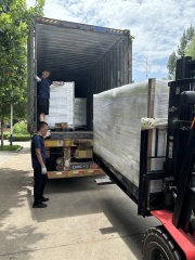 ricardo generator loading in container