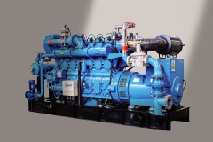 weichai gas generator