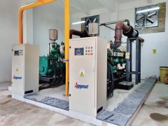 biogas generator in china