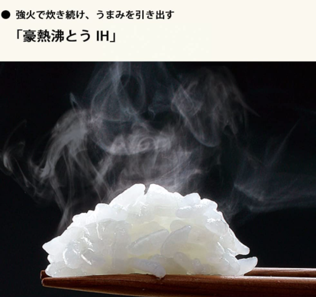 象印 ZOJIRUSHI STAN. NW-SA10 電⼦鍋 6⼈份 有中文說明書 含稅空運
