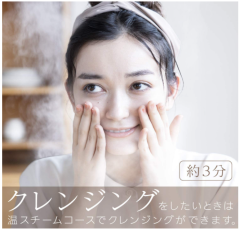 Panasonic 國際牌 EH-SA0B 奈米離子 蒸臉機 細緻水霧 美顏機 溫冷美容