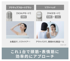 Panasonic 國際牌 Vitalift 頭部 臉部美容梳 EH-SP60 離子梳 2023