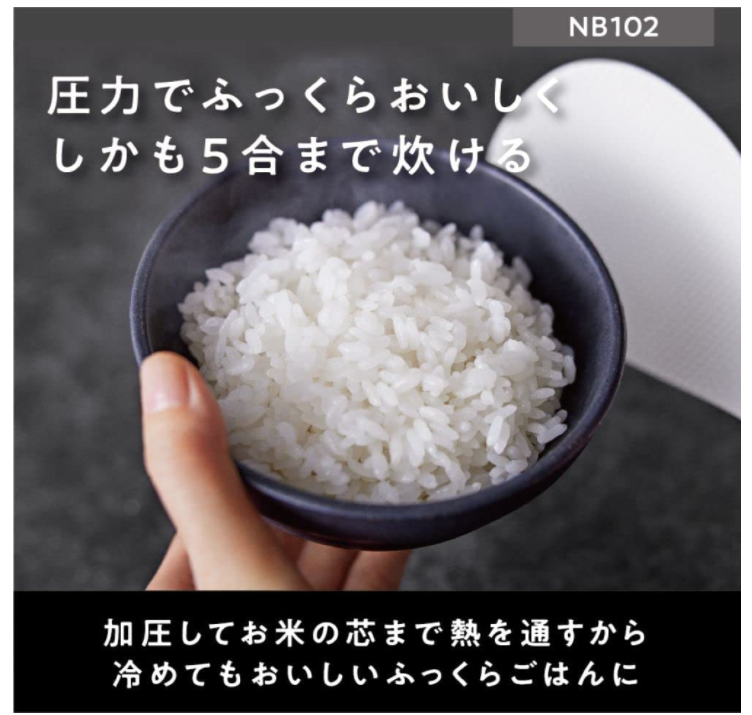 Panasonic 國際牌 電飯煲 電子鍋 SR-NA102 SR-NB102 2022款