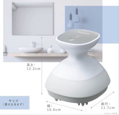 2021 最新 Panasonic 國際牌 EH-HE9G 電動頭皮按摩器 頭皮清潔