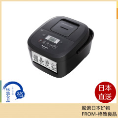 PANASONIC 國際牌 SR-FE101 IH電子鍋 6人份 備長炭釜
