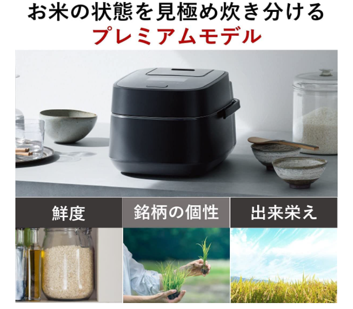 Panasonic 國際牌 SR-VSX101 SR-VSX181 頂級電子鍋 2021款