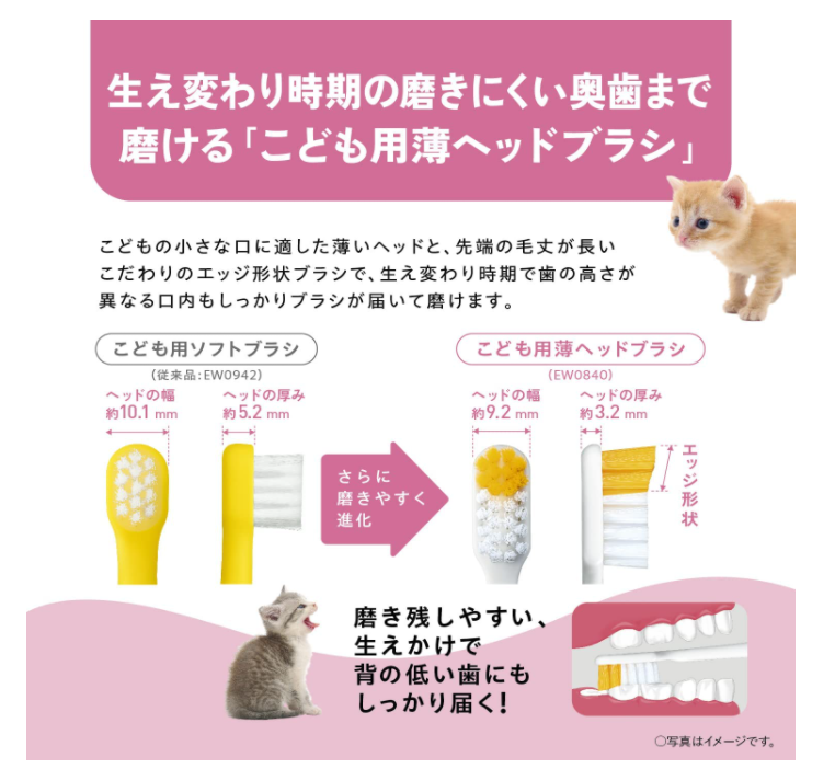 Panasonic 國際牌 Doltz 兒童電動牙刷 EW-DK31 音波振動 2022最新