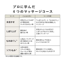 Panasonic 日本 國際牌 暖感 空氣按摩器 腿部 EW-RA180