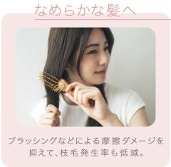 Panasonic 日本 國際牌 兩倍奈米水離子 吹風機 EH-NA9F 全球電壓