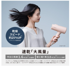 Panasonic 國際牌 EH-NE5L 離子吹風機 速乾 大風量 強乾低溫模式 負離子2023款