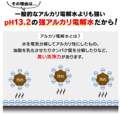 IRIS OHYAMA RNS-300 RNS-P10専用洗浄液 RNSE-460 除臭 殺菌