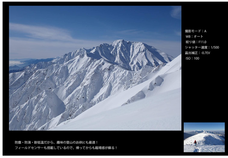 OLYMPUS TG-6 運動相機 潛水相機 15米防水 防塵 抗衝擊 耐結露 TG-7 新款