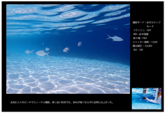 OLYMPUS TG-6 運動相機 潛水相機 15米防水 防塵 抗衝擊 耐結露 TG-7 新款