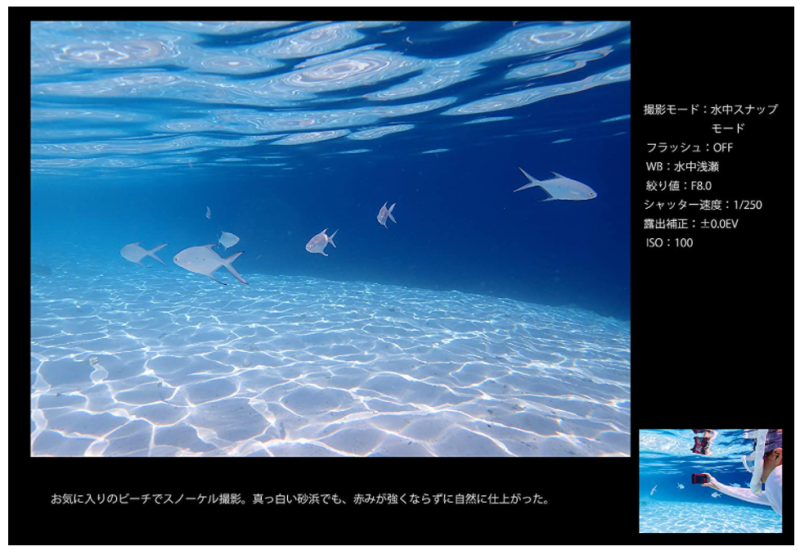 OLYMPUS TG-6 運動相機 潛水相機 15米防水 防塵 抗衝擊 耐結露 TG-7 新款