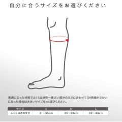 ZAMST 小腿支撐 FILMISTA CALF 籃球 足球 排球 網球 跑步 健身 運動 日常