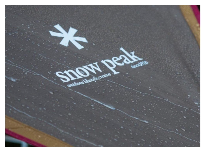 Snow peak 露營帳篷 附天幕 SET-250RH 4人用 戶外