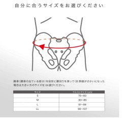 ZAMST ZW系列 護腰 腰帶 籃球 排球 足球 網球 跑步 運動 一般日常生活