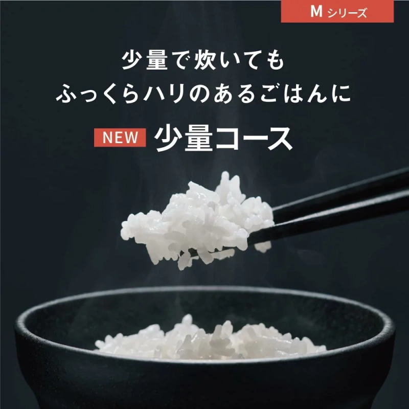 Panasonic 國際牌電子鍋24年新款SR-M10B SR-M18B