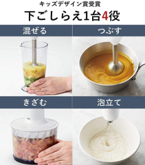 Panasonic 國際牌 手持式攪拌機 食物調理機 攪拌棒 手持式 MX-S302 1台4用