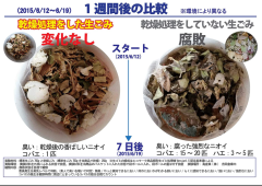 島產業 PPC-11 溫風式 廚餘處理機 2.8L 國際設計大獎 除臭 靜音 小體積
