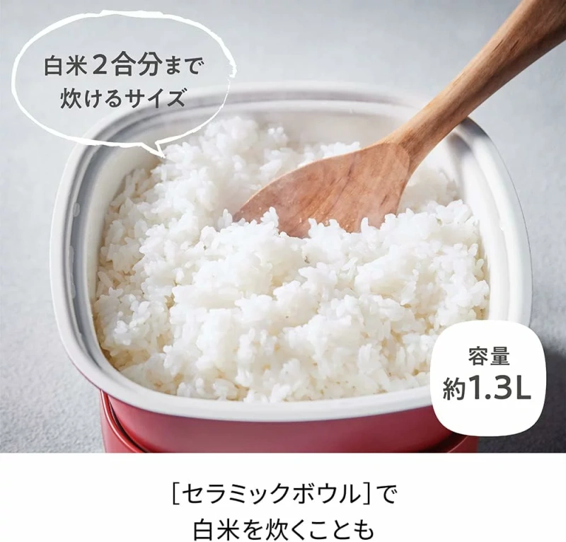 recolte 多功能調理鍋 Carre RPD-4 料理小方鍋 電火鍋 蒸 煮 炒 煎 燉 美食鍋