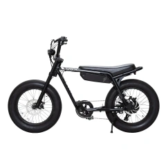 日本直送 SUPER73 Z MIAMI 最新車款 價格含稅空運