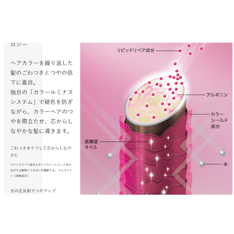 SHISEIDO 資生堂 芯之麗洗髮系列 盈潤新生 輕縈柔波 極光綻色 活耀未來 優源舒活洗髮露