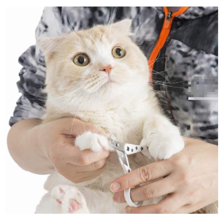 日本直送 猫壹 Necoichi 貓用指甲刀 日本製